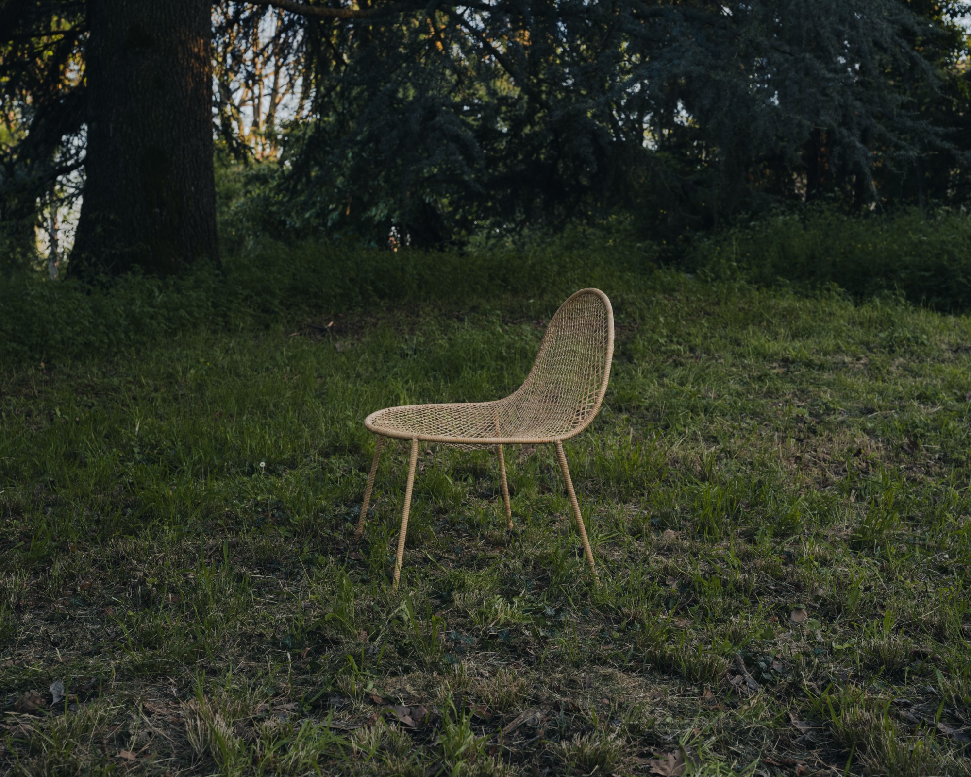 Ami Isu Chair —